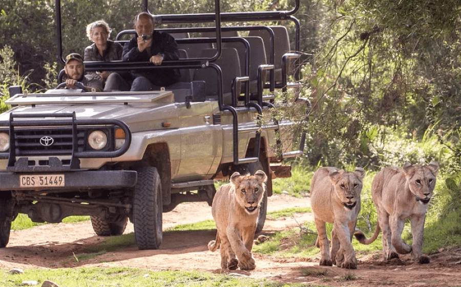 Golf & Safari Escape